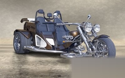 Trikes Mustang Family