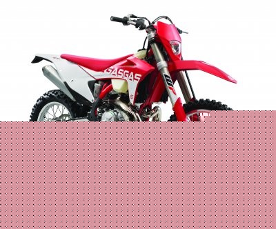 GAS EC 300