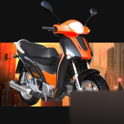 Cub 50