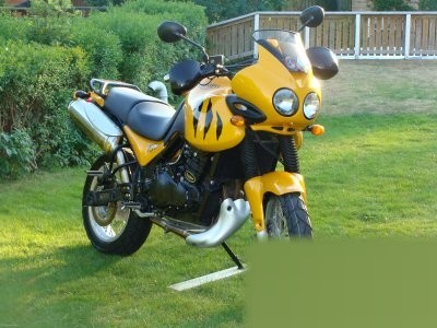 Tiger 900