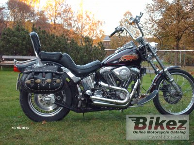Harley-Davidson FXSTC 1340 Softail Custom (reduced effect)