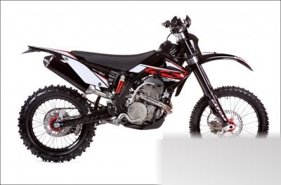 GAS EC 450 4T