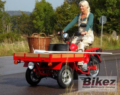 Electric Transport Moped