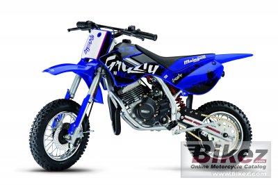 Grizzly 10 Enduro