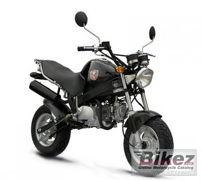Pro Mini Monster 125