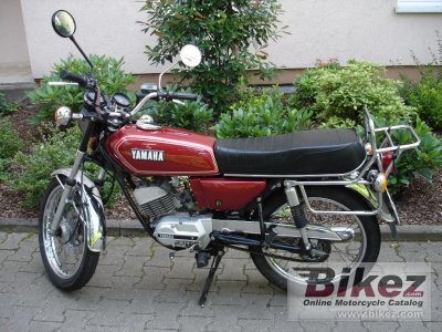 1981