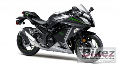 Ninja 300 SE