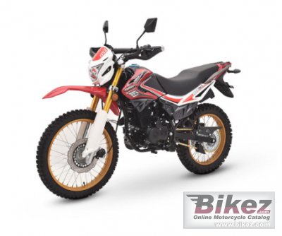 SK 250GY