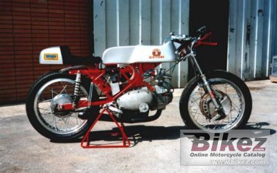 Zanzani 250