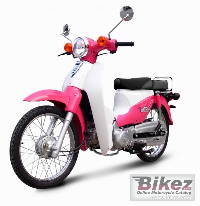 Future 110