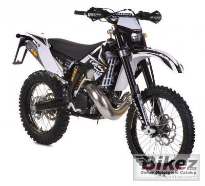 GAS EC 125 2T Racing