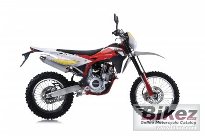 RS 500 R