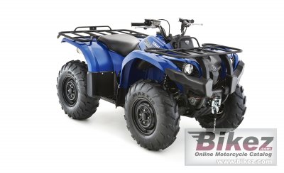 Grizzly 450 IRS
