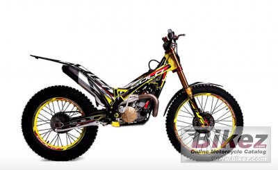Gold 300