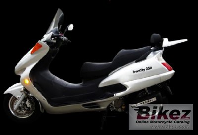 TranCity 250