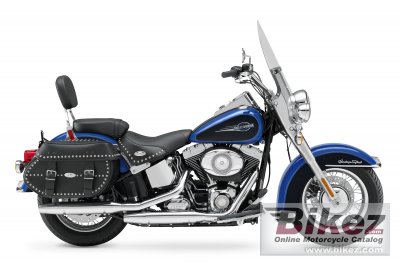 Harley-Davidson FLSTC Softail